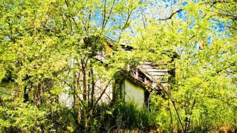 May 2013 - IMG_7396.jpg