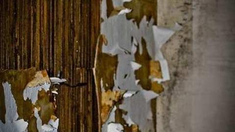 May 2013 - IMG_7354.jpg