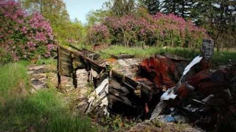 May 2013 - Colgan-Death-Farm25.jpg