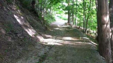 5/22/13 - Across-The-River237.jpg