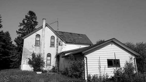 Photo from Gallery #1