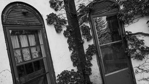 Photo from Gallery #1