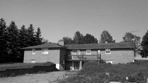 Photo from Gallery #1