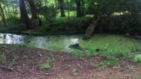 5/22/13 - Fanshawe-Beauty96.jpg