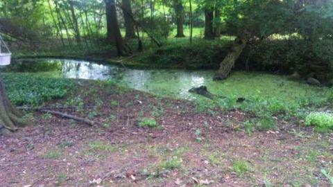 5/22/13 - Fanshawe-Beauty104.jpg