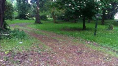 5/22/13 - Fanshawe-Beauty102.jpg