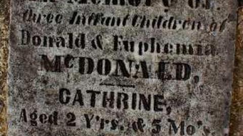 Priceville's Pioneers - Priceville-Pioneer-Cemetery1.jpg