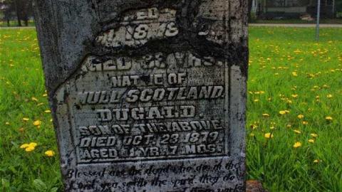 Priceville's Pioneers - Priceville-Pioneer-Cemetery13.jpg