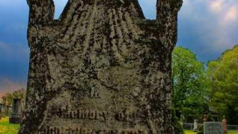 Priceville's Pioneers - Priceville-Pioneer-Cemetery4.jpg