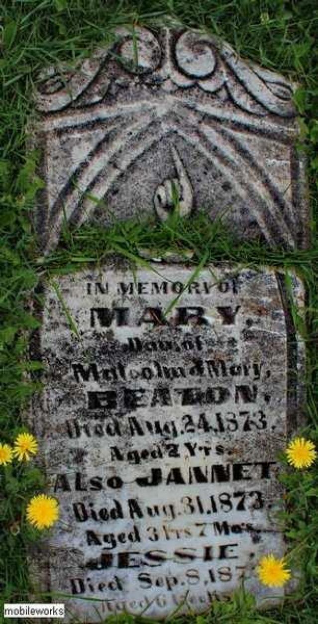 Priceville Pioneer Cemetery photo 5