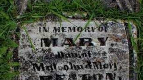 Priceville's Pioneers - Priceville-Pioneer-Cemetery7.jpg