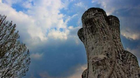 Priceville's Pioneers - Priceville-Pioneer-Cemetery9.jpg