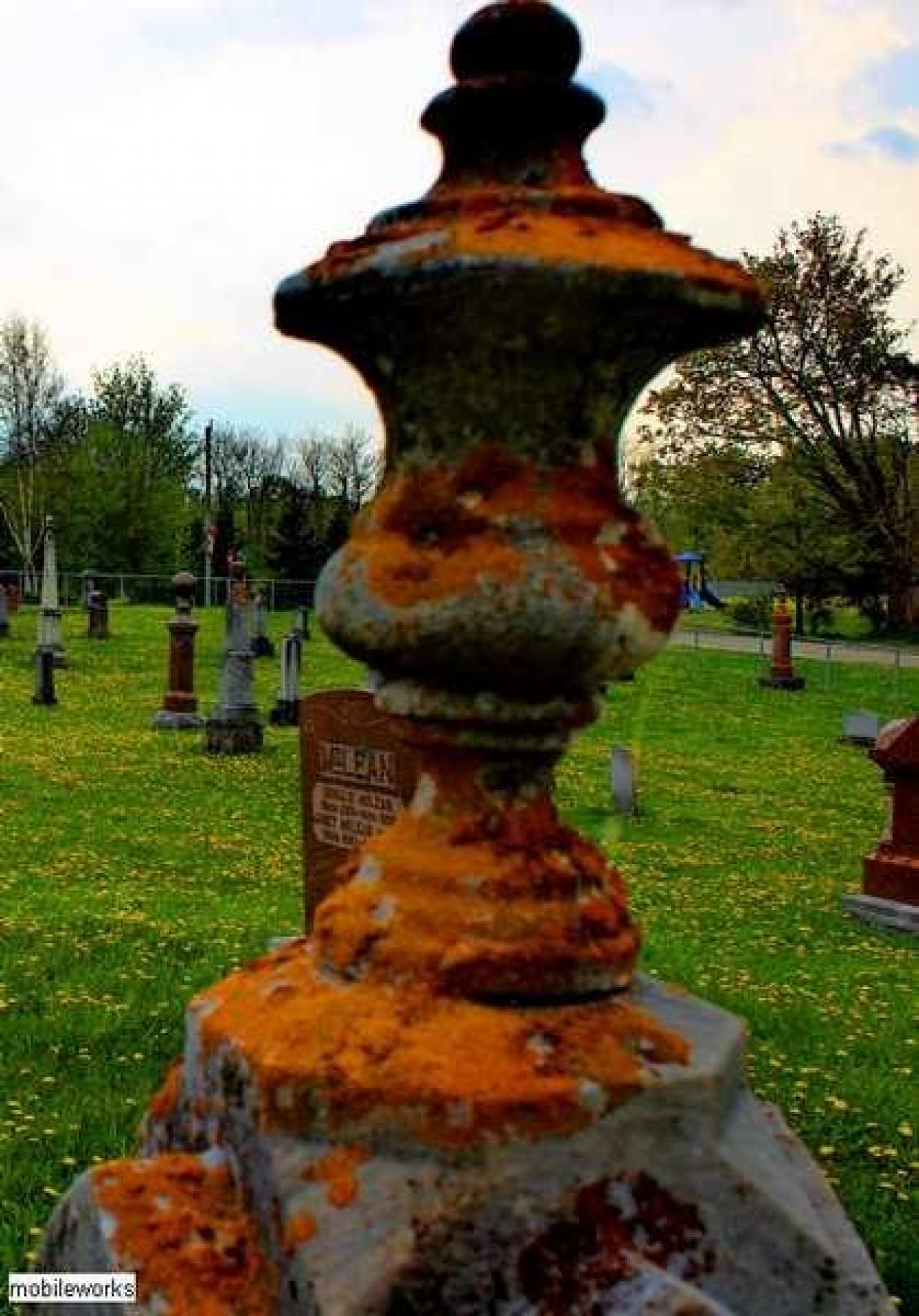 Priceville's Pioneers - Priceville-Pioneer-Cemetery19.jpg