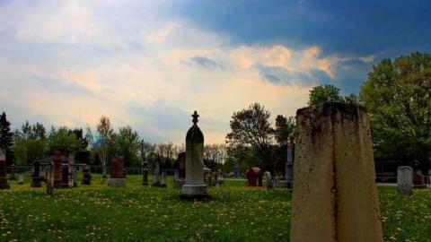 Priceville's Pioneers - Priceville-Pioneer-Cemetery15.jpg