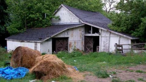 Gone To The Dogs - Across-The-River267.jpg