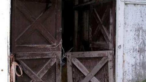 Gone To The Dogs - Across-The-River284.jpg