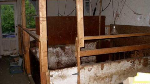 Gone To The Dogs - Across-The-River257.jpg