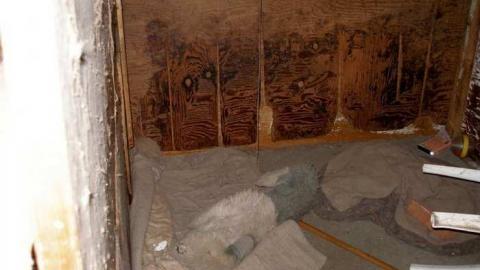 Gone To The Dogs - Across-The-River270.jpg