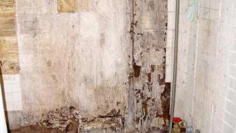 Gone To The Dogs - Across-The-River275.jpg