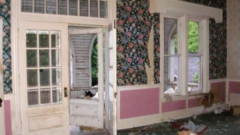 Photo from Gone To The Dogs