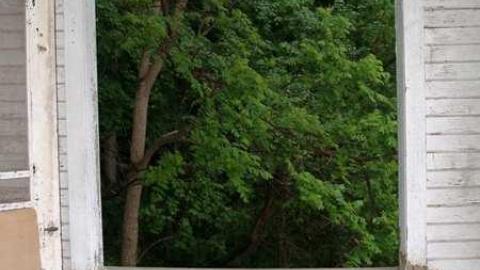 Gone To The Dogs - Across-The-River262.jpg