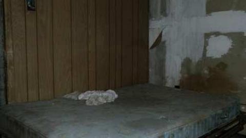 Big Old Grey In Grey County - Grey-Farmhouse11.jpg