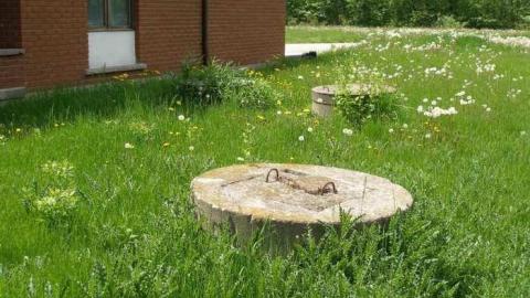 Wild But Clean - P5221412.jpg