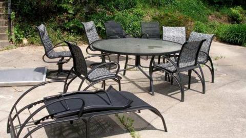 Wild But Clean - P5221408.jpg