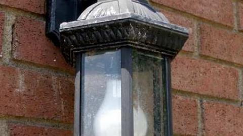 Wild But Clean - P5221409.jpg