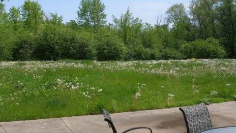 Government Owned Or Boned photo 4