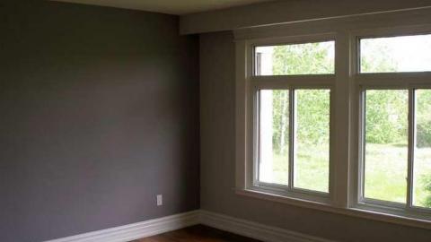 Wild But Clean - P5221373.jpg