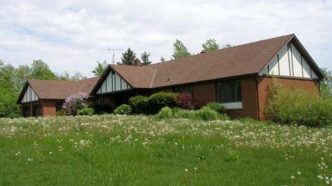 Wild But Clean - P5221420.jpg