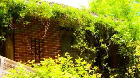 Erica's Trashed - Ericas-Place129.jpg