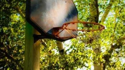 Trashed & Smashed - Beeton-is-Trashed-Big-Time10.jpg