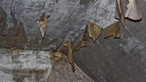 Unexpected - Middletown-Manor82.jpg