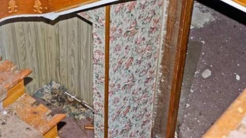 Photo from Unexpected