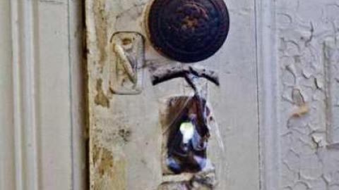 Awesome Sauce! - Pinkerton-Farm240.jpg