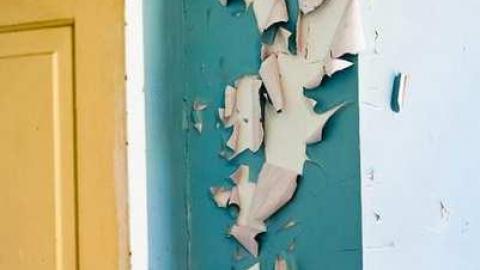 Awesome Sauce! - Pinkerton-Farm5.jpg