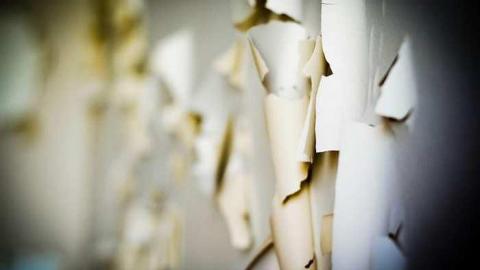 Awesome Sauce! - Pinkerton-Farm244.jpg