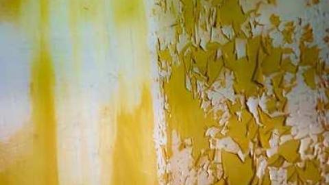 Photo from Awesome Sauce!