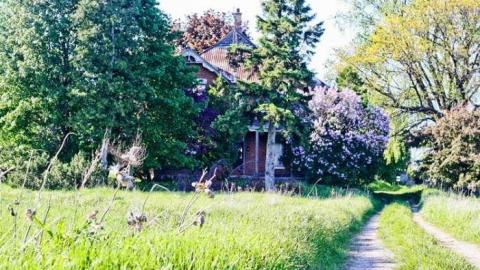 Awesome Sauce! - Pinkerton-Farm247.jpg