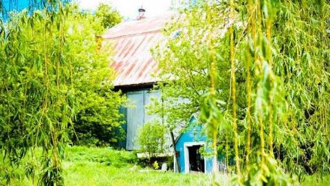 Pleasantville May 2013 - Pleasantville-Abandoned-Farm88.jpg