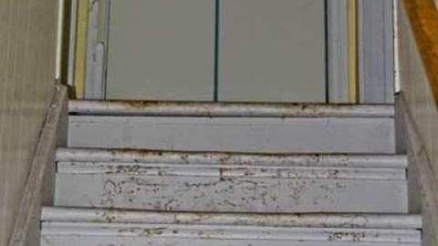 Pleasantville May 2013 - Pleasantville-Abandoned-Farm91.jpg