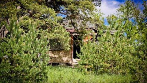 Still Standing - Vivian-House57.jpg