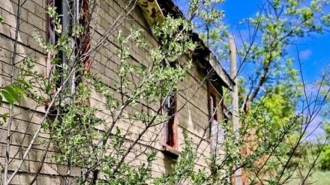 Still Standing - Vivian-House58.jpg