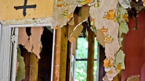 Still Standing - Vivian-House60.jpg