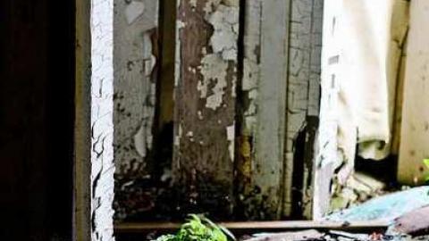 Still Standing - Vivian-House6.jpg