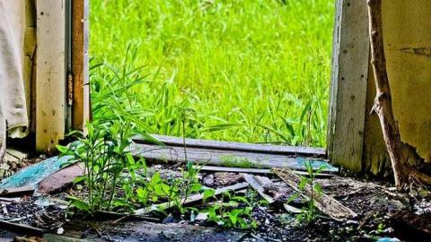 Photo from Still Standing