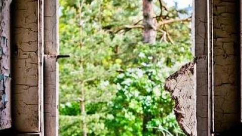 Still Standing - Vivian-House7.jpg