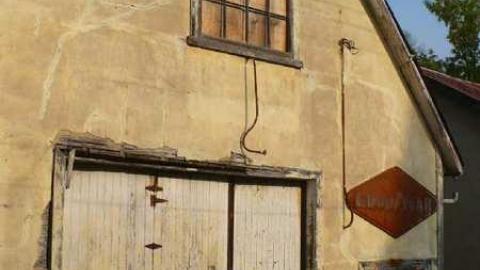 Dunedin Darntootin photo 2